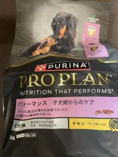 Item thumbnail for item 49d072e9-51e7-418f-b9af-e4032998344c