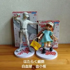 はたらく細胞 白血球 血小板 フィギュア セット　　箱つき