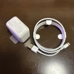 Apple純正品充電器とLightningケーブルセット