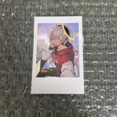 CrazyRaccoon セルフィーカード だるまいずごっと