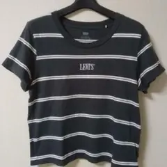 LEVIS ストライプ クロップドTシャツ 半袖