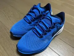 NIKE zoomペガサス37