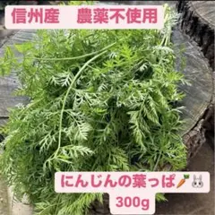 Item thumbnail for item d8420ad6-e245-460d-a6c9-d1737f98b0ac