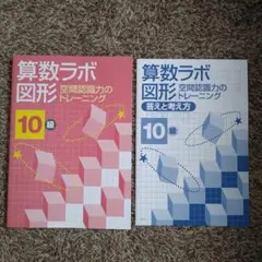 算数ラボ　図形　空間認識力のトレーニング　１０級