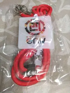 【未開封】B'z 稲葉浩志 ～enIV～スマホショルダー 楽天ブックス特典