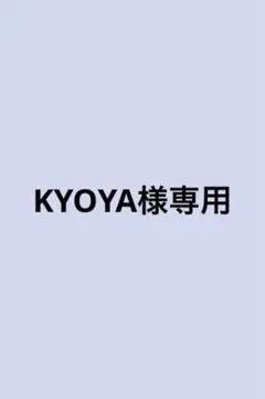 専用ページ