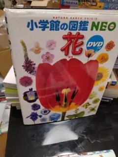 小学館の図鑑NEO 花 新版 DVD付き　24時間以内に発送