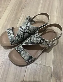 BEAUTY&YOUTH　バックストラップサンダル　パイソン柄　23.5センチ