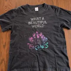 セカオワ WHAT A BEAUTIFUL WORLD Tシャツ