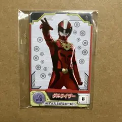 ダルライザー　カードセット
