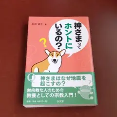 神さまってホントにいるの? 石井研士　メルカリ 便