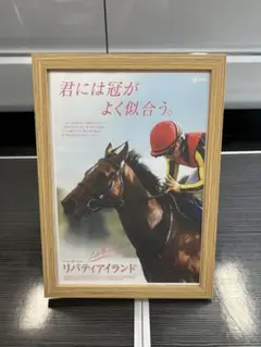 リバティアイランド A4サイズ　額縁セット　ポスター