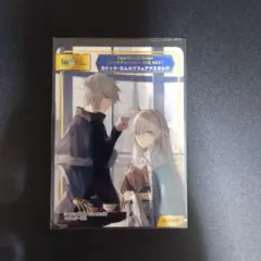 アニメイト TYPE-MOONフェア 特典 ノーマル カドック アナスタシア