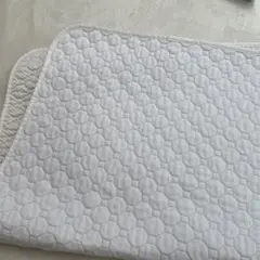 Item thumbnail for item c4084f33-ab8e-459c-a7ec-4add72e5b3cf