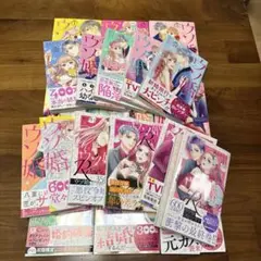 ウソ婚1〜16巻　ウソ婚Rose1〜4巻