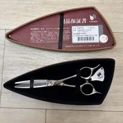 Item thumbnail for item 919a7687-be94-4aee-b7cd-df4e29fd53a0
