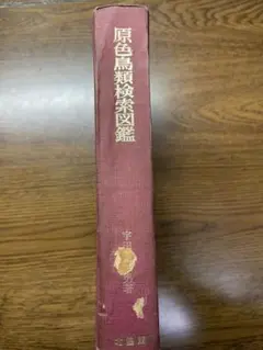 原色鳥類検索図鑑 古書