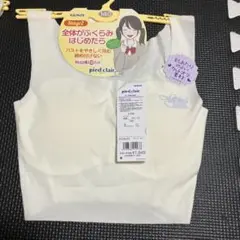 GUNZE pied clair インナー 140 初ブラ