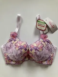 Item thumbnail for item 4a71e8f3-852b-43c0-b49f-f89f81d91d29