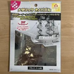 メタリック　ナノパズル　ブラック・パール号