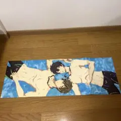 Free! 2013 autumn 第2ふろく　ROMAN ALBUM