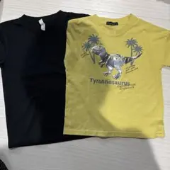 恐竜Tシャツ 2枚セット