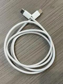 Apple 純正ケーブル Type-C to Type-C