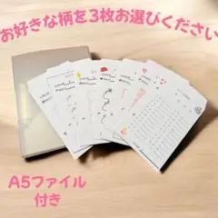 オーダーページ♪ 選べる【ちりつも貯金封筒】3枚セット A5ファイル付き