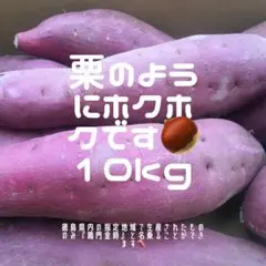 お得❕ なると金時 B級品 10キロ サツマイモ 徳島県産 さつまいも