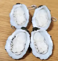 生牡蠣　キーホルダー　リアル　セット