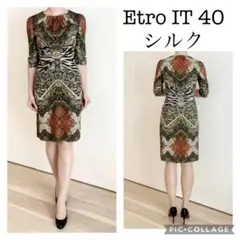 Etro シルクアニマルプリント&ペイズリープリントドレス/ワンピース