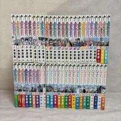 ハヤてのごとく! 1～48巻+0巻　※送料無料　即購入可
