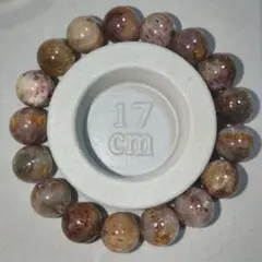 Item thumbnail for item b27bab42-d062-4404-b6b3-562ce4efbbbc