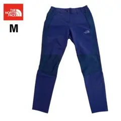 Item thumbnail for item 50ba172f-0b38-41c3-b114-3f6f891e7e66