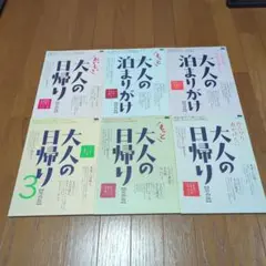 大人の日帰り、泊まりがけ 雑誌セット 最終価格！