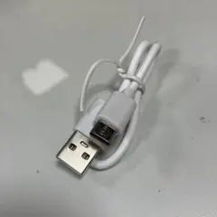 USB A - USB Bケーブル ホワイト