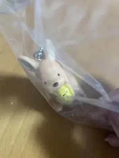 東山動物園限定