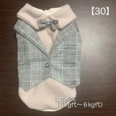 Item thumbnail for item 8b6674cd-ef5a-49fa-bcec-692b134d4fbf