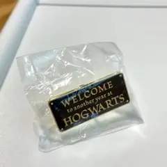 未使用品★限定品★USJ★ユニバ★ハリーポッター★コレクタブルピンズ
