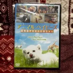 DVD アニマル・ベイビーズ 動物園で生まれた赤ちゃん ※未開封※
