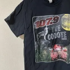 値下げ中です!!古着 半袖Tシャツ アメリカ古着