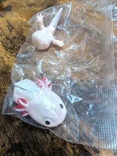 いきもの大図鑑レプティ オオサンショウウオとメキシコサラマンダー ガチャ