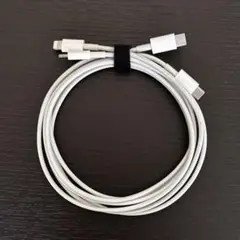 iPhone Apple純正 USB-C & Lightningケーブル 2本組