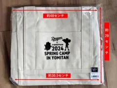 新品✨中日ドラゴンズ❎ニューエラ♦2024年沖縄キャンプ限定♦スナップバック Amazon.co.jp: 中日ドラゴンズ 沖縄キャンプ2024限定 キャップ