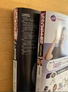 【増刊号】ビッグコミック2025.8.14 オリジナル7.12セット