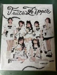 FRUITS ZIPPER lovers book by LARME