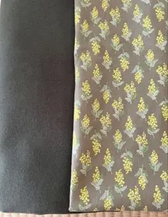 Item thumbnail for item 044042a1-f5f6-468f-a260-986b128e04cb