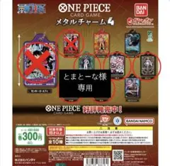 専用