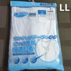 Item thumbnail for item 42b7c069-fd1d-451f-b561-fef3760c01ad