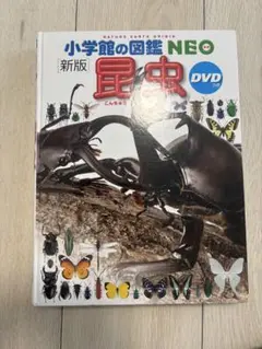 美品！小学館の図鑑　新刊　昆虫図鑑